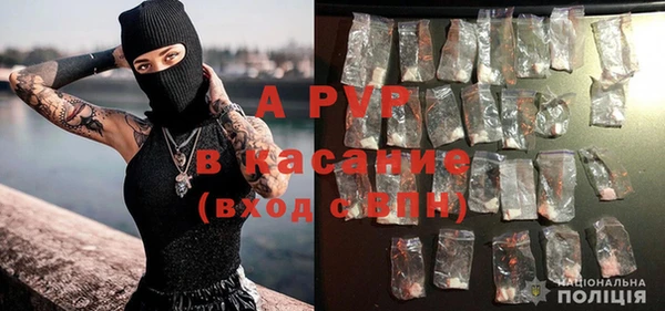 дмт Арсеньев