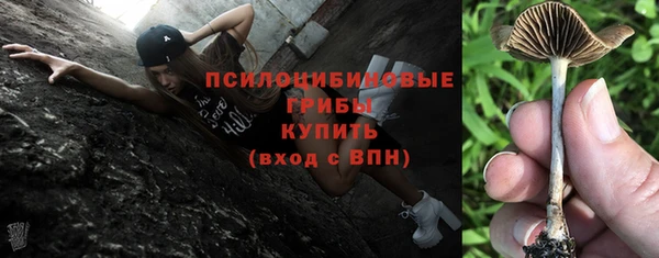 МДМА Приозерск