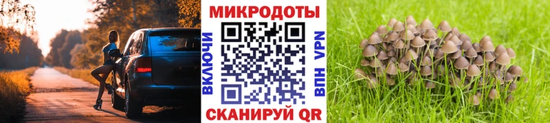 Галлюциногенные грибы Magic Shrooms  хочу   блэк спрут   Реж 